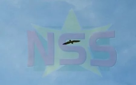 Warme zondag en overwegend droog