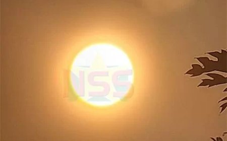 Zon dominant in grote delen van het land