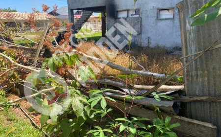 Boom valt op vrouw tijdens houtkapwerkzaamheden