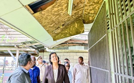 President Simons bezoekt Ewald P. Meyer Lyceum om onderwijsproblemen te bekijken