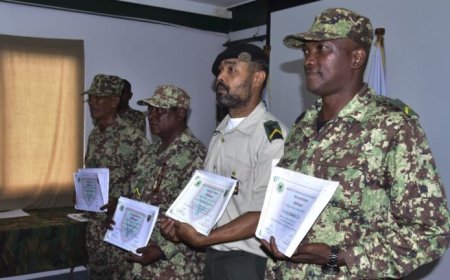 Nieuwe groepscommandanten versterken leiding Nationaal Leger