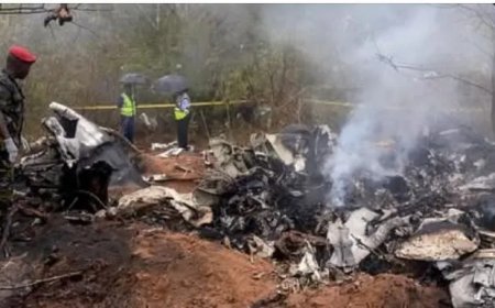 Keniaans vliegtuig met buitenlandse toeristen stort neer, 11 doden