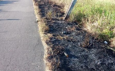 Gevaarlijke grasbrand aan Arnold Julenweg in Nickerie