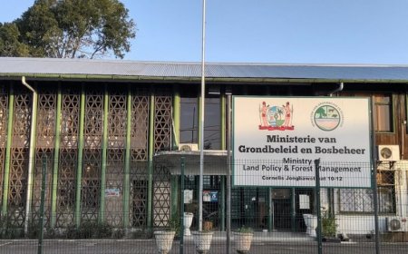 Rekenkamer constateert puinhoop bij gronduitgifte in 2023