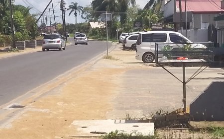 Studenten Natin bezorgd over onveilige situatie op Leysweg, Tammenga