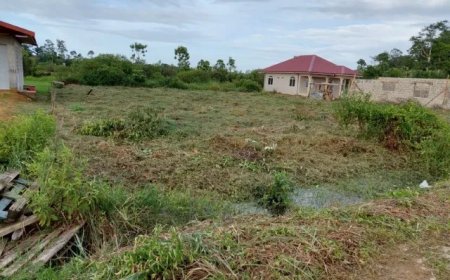 Grond zonder recht – Rapport Rekenkamer stelt onrechtmatige gronduitgiftes vast in 2023