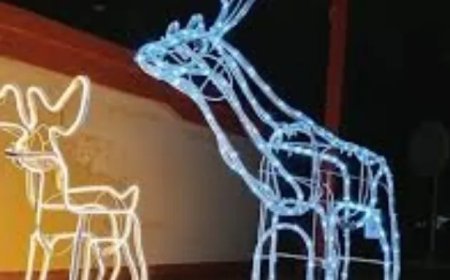 Kerstperiode wordt langzaamaan zichtbaar, maar prijzen van kerstproducten zijn duur