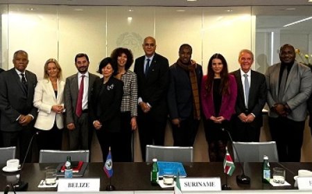 Suriname ontvangt extra steun voor duurzaam energieproject in Pusugrunu