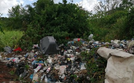 Televisie op de begraafplaats