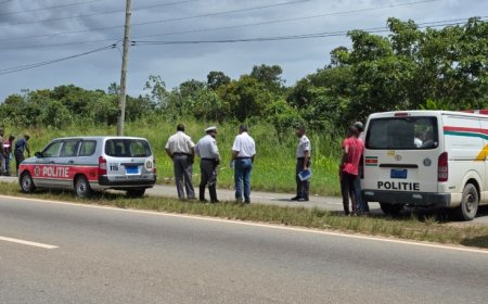 Vrouwelijke bromfietser overlijdt na zware botsing
