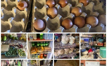 ‘Vieze’ supermarkt gesloten door ECD