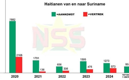 Onderzoek: Cijfers tonen grote instroom Haïtianen, maar weinig werkvergunningen