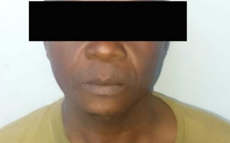 Mogelijk brein gewapende beroving Chinees goudbedrijf opgepakt