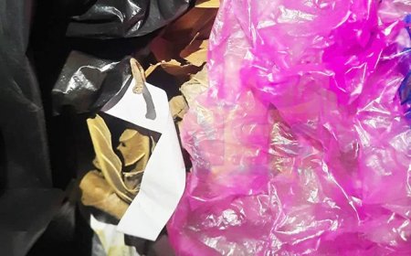 Aangifte van poging tot moord SZF-directeur: verdacht materiaal motorkap