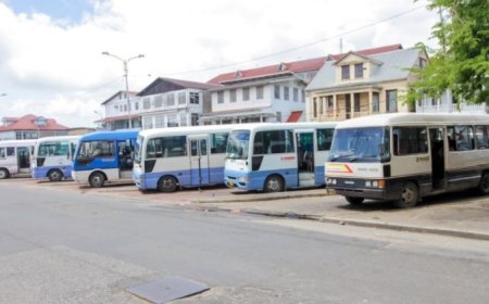 Overheid maakt 20 miljoen vrij voor betaling bus- en boothouders