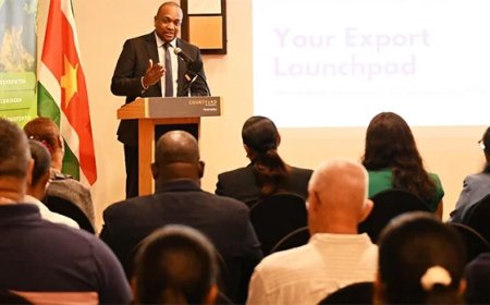 Nieuwe stap naar exportgroei met Cost Sharing Grant en gecertificeerde coaches