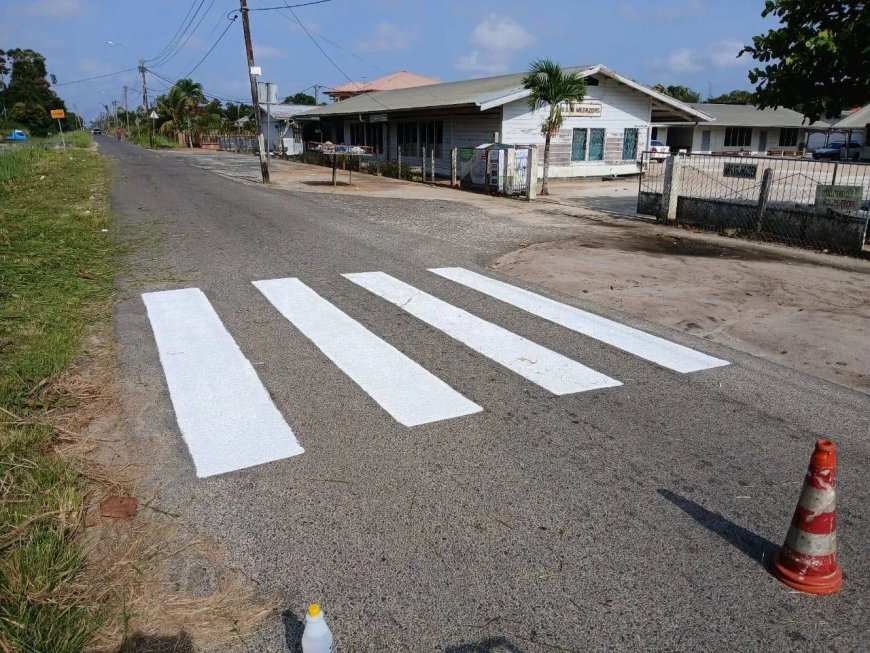 Zebra’s beschermen kinderen – Verkeersveiligheid rond scholen moet prioriteit krijgen