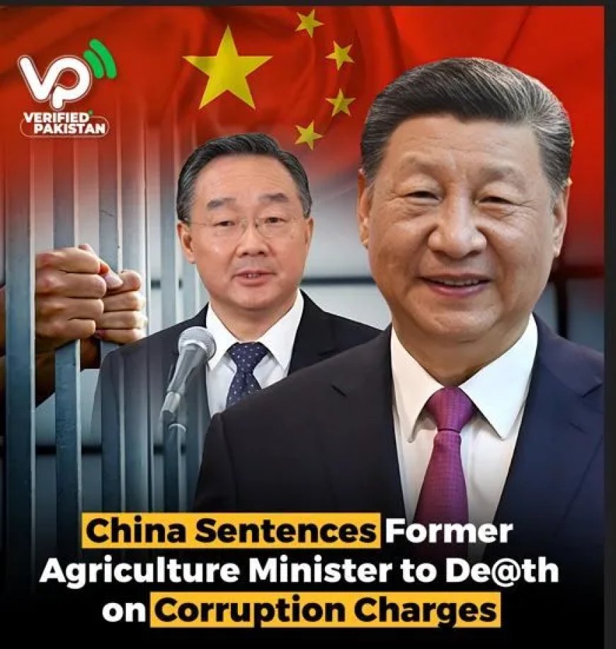 In Suriname loont corruptie nog steeds – de gevangenis is voor de kleintjes  