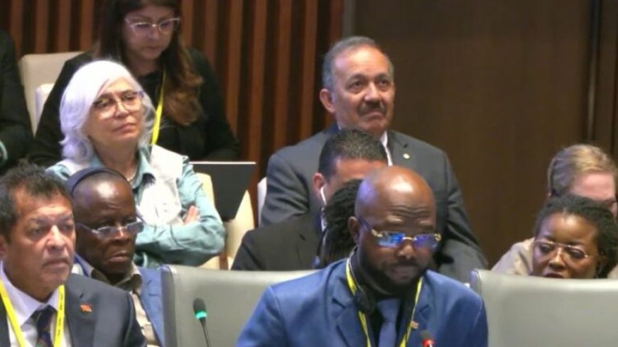 Suriname steunt beleid van PAHO voor gelijke toegang tot essentiële gezondheidstechnologieën