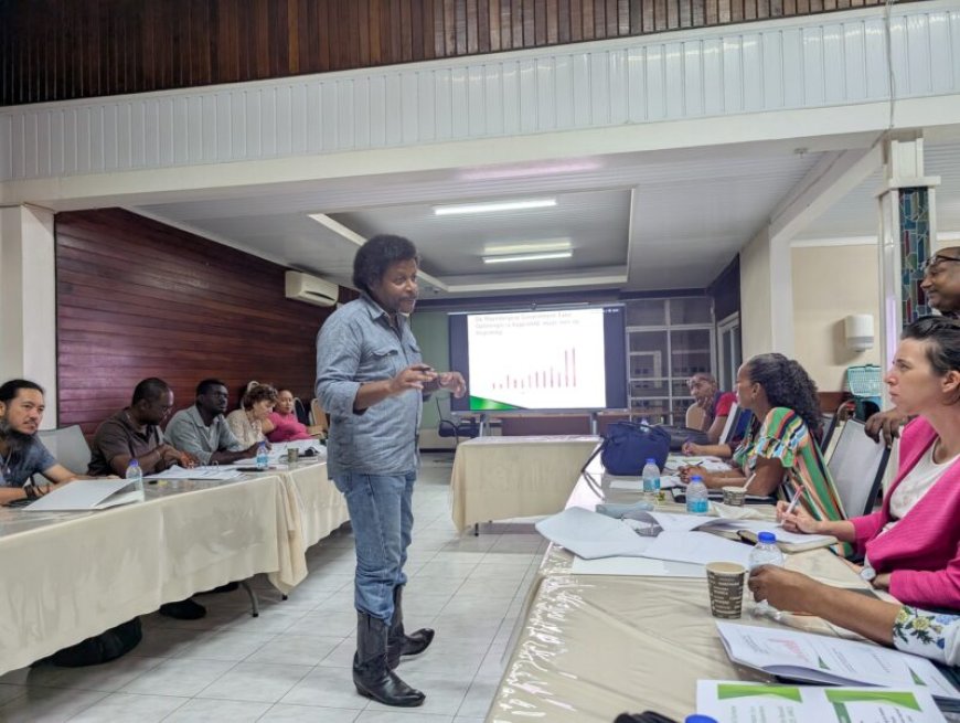 Gemiddeld 55 procent minder goudexport