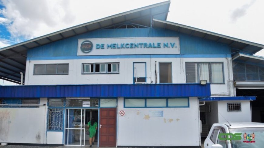 Acht aanhoudingen bij grootschalige poedermelkfraude bij Melkcentrale Paramaribo