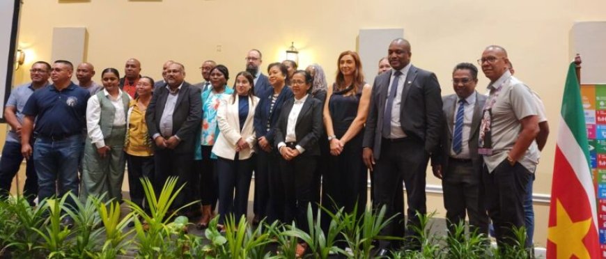 Nieuwe financieringsfaciliteit biedt ananasboeren toegang tot krediet