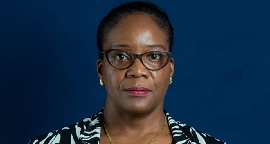 Belastingdienst kampt met capaciteitgebrek om optimaal gelden te innen