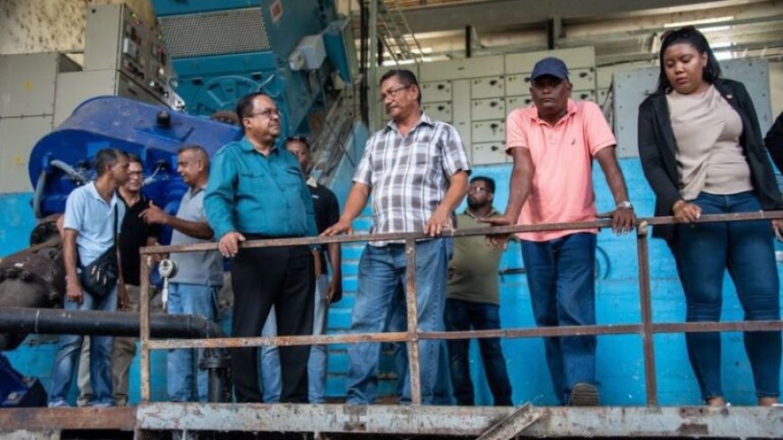 Rusland belooft prioriteit aan herstel pompgemaal Wageningen: 6500 hectare rijstproductie in 