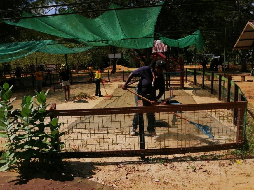 Jonge padvinders helpen met opruimen Paramaribo Zoo