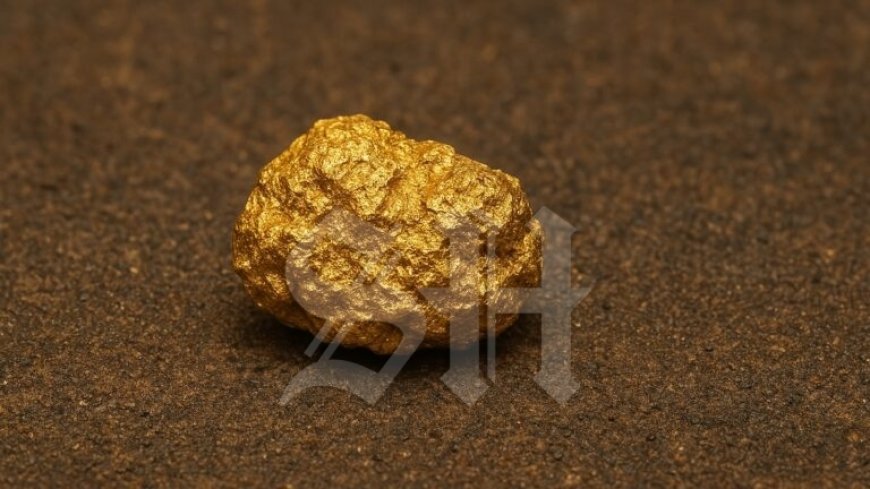 Hoofdverdachte spraakmakende goudroof Sunparklaan meldt zich bij politie