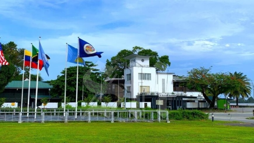 DNA behandelt wijziging Wet op de Staatsschuld; initiatiefnemers willen overschrijding formal