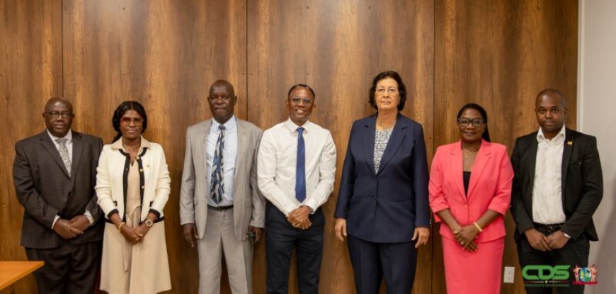 Nieuwe Raad van Commissarissen moet SLM doorstart geven