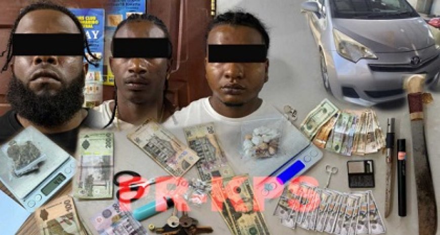 Drie vreemdelingen aangehouden na gewapende beroving Bloemkoolstraat