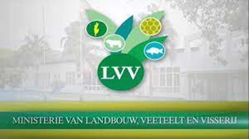 Onderdirecteur LVV Jhagroe in verzekering gesteld wegens vermoedelijke malversaties