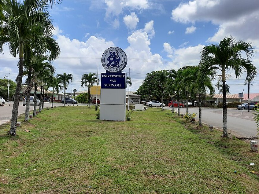 Wetenschappelijk personeel legt universiteit stil