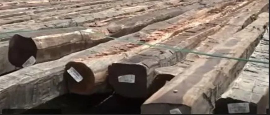 Grote partij houten palen EBS in beslag genomen door SBB 