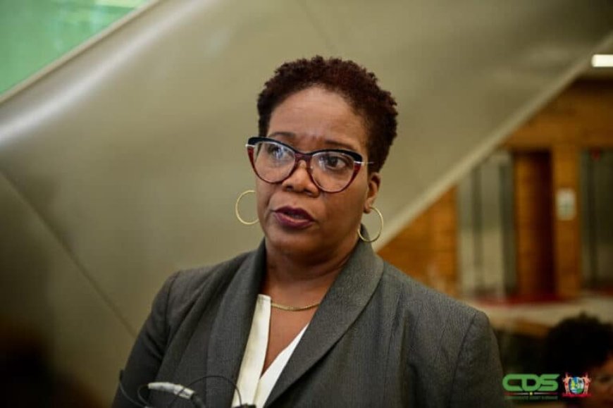 Wijnerman: ‘Gebrek aan capaciteiten bij belastingdienst’