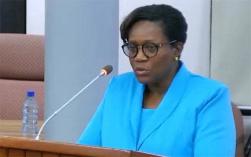 Wijnerman: Wetswijziging is juridische reparatie, geen vrijbrief voor meer leningen