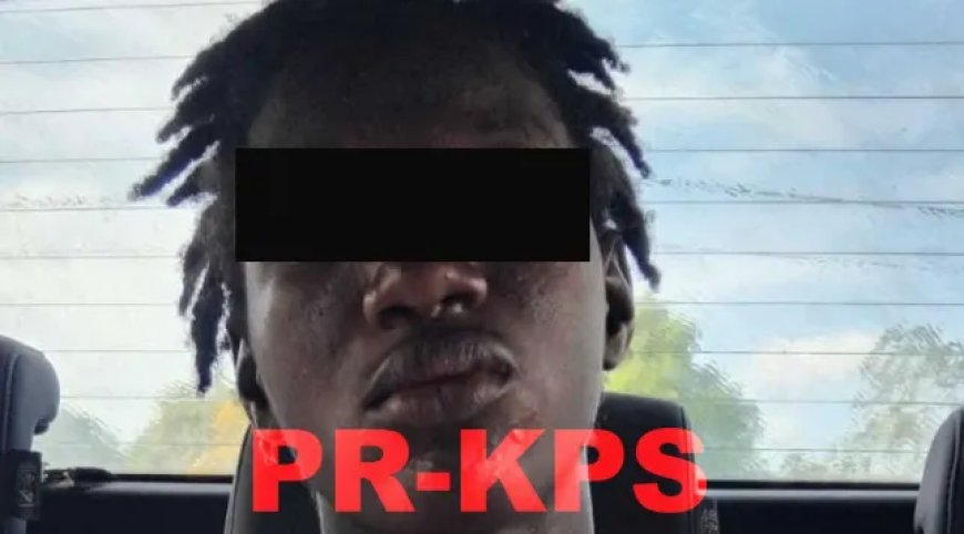 18-jarige verdachte dodelijk schietincident in Nassaugebied in de kraag gevat