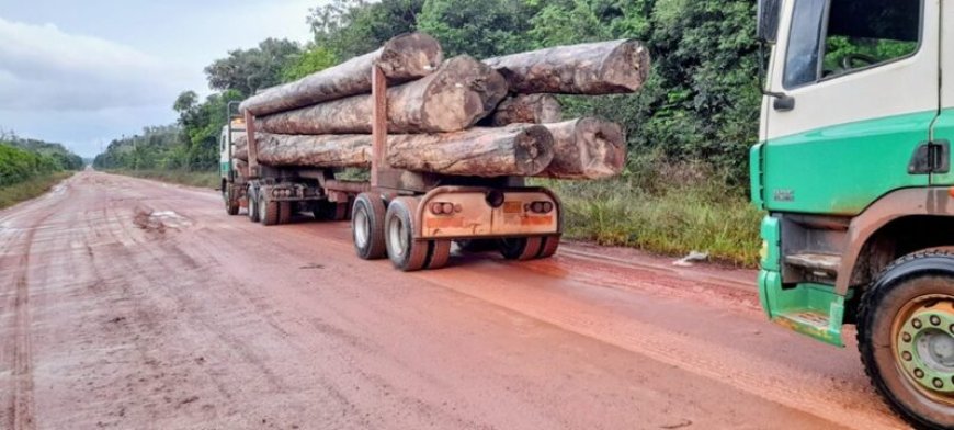 Herstel brug Witagron kan lang duren: ‘Brug officieel gesloten voor lading boven tien ton’