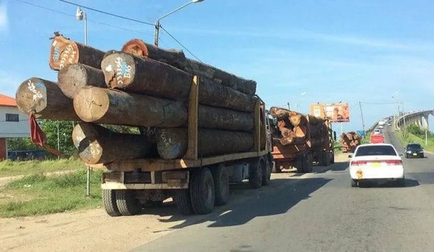 Weer kapotte infrastructuur door te zwaar beladen trucks
