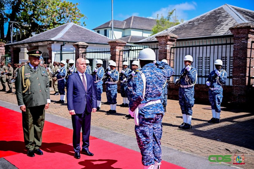 Vier ambassadeurs bieden geloofsbrieven aan president Simons