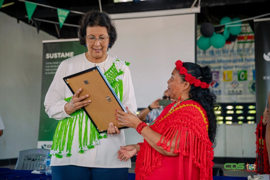 Bigi Poika voorbeeld voor duurzaam bosbeheer