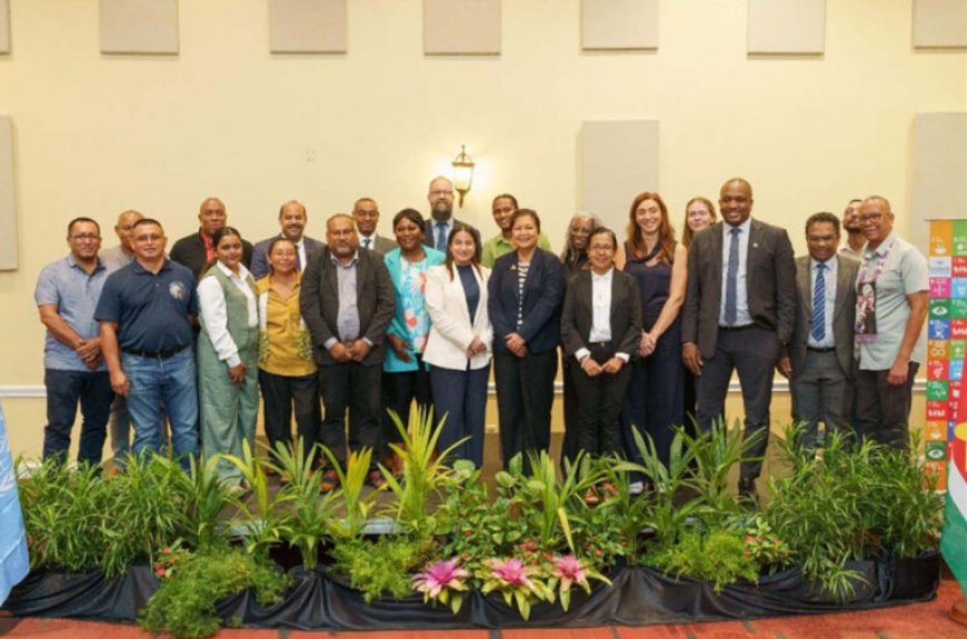 Suriname lanceert Collateral Support Facility ter versterking van ananasboeren