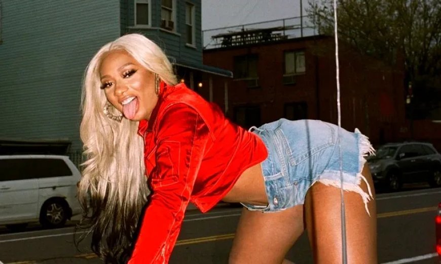Megan Thee Stallion spreekt fans aan op fixatie op hitlijsten