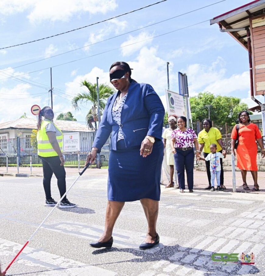 ‘Als we het leven niet vergemakkelijken voor mensen met beperking hebben ze een probleem’