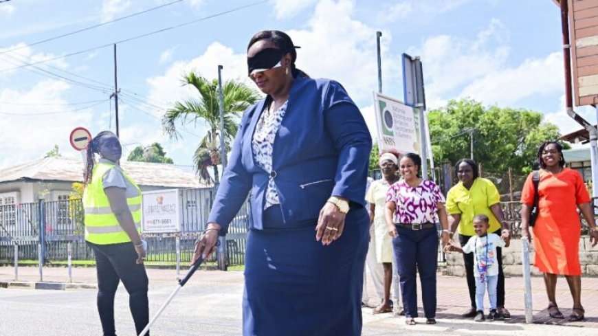 Sozavo-minister benadrukt samenwerking en inclusie voor mensen met een visuele beperking