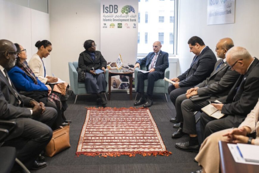 Wijnerman ontmoet voorzitter van Islamitische Ontwikkelingsbank in Washington D.C.