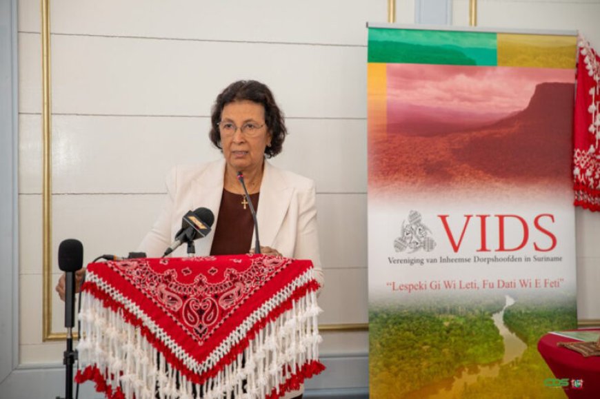 VIDS overhandigt nationaal FPIC-protocol aan president en parlementsvoorzitter