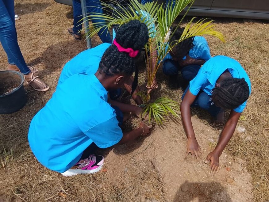 Startsein Diaspora Homecoming Summit gegeven in Paranam